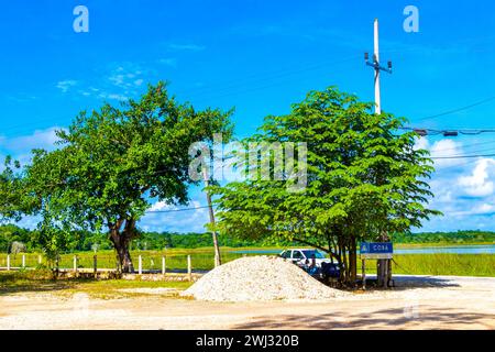 Coba Maya Ruins the ancient buildings and pyramids entrance welcome sign in the tropical forest jungle in Coba Municipality Tulum Quintana Roo Mexico. Stock Photo