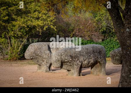 Bulls of Guisando, Vetón sculptural group, 4th and 3rd centuries BC, Iron Age, Ávila, province of Ávila, autonomous community of Castilla y León, Spai Stock Photo