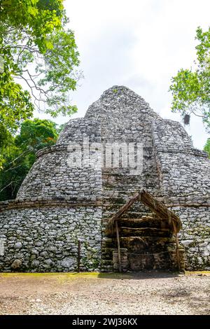 Xaibe at Coba Maya Ruins the ancient buildings and pyramids in the tropical forest jungle in Coba Municipality Tulum Quintana Roo Mexico. Stock Photo