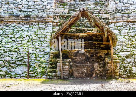 Xaibe at Coba Maya Ruins the ancient buildings and pyramids in the tropical forest jungle in Coba Municipality Tulum Quintana Roo Mexico. Stock Photo