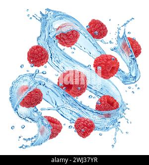Raspberries falling with water splashes isolated on white background Stock Photo