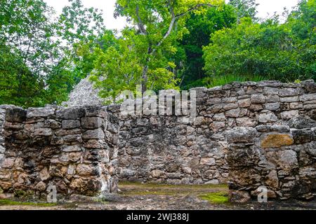 Coba Maya Ruins the ancient buildings and pyramids in the tropical forest jungle in Coba Municipality Tulum Quintana Roo Mexico. Stock Photo