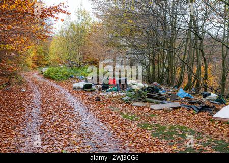 Wild garbage dump in the forest Stock Photo - Alamy