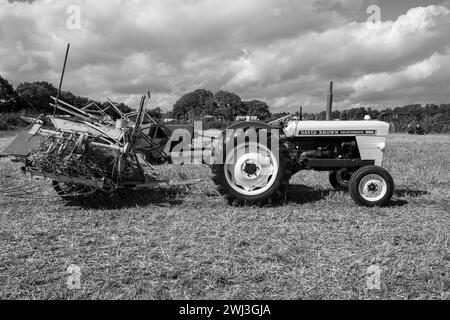 Drayton.Somerset.United kingdom.August 19th 2023.A restored David Brown Selectamatic 990 is on show at a Yesterdays Farming event Stock Photo