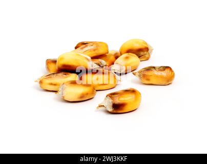 Big, yellow roasted corn on the cob Stock Photo