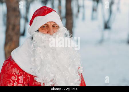 Santa Claus with long white beard walking in the winter forest Stock Photo