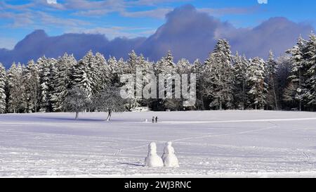 Two cross-country skiers on tour in a snow-covered landscape Stock Photo