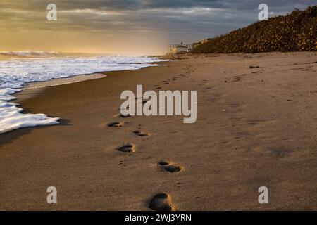 Footsteps on the beach Stock Photo
