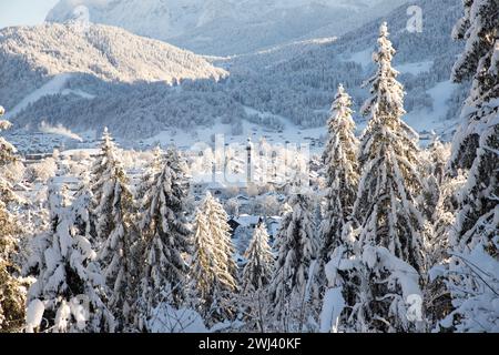 Winter mountain landscape in the Alps with snow covered fir trees Stock Photo