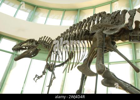 North Carolina Museum of Natural Sciences building's glass dome houses 'Terror of the South' exhibit shows an Acrocanthosaurus Stock Photo