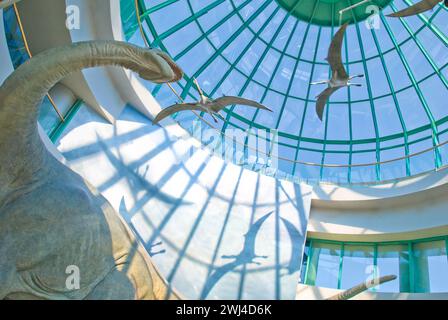 North Carolina Museum of Natural Sciences building's glass dome houses 'Terror of the South' exhibit shows a gigantic Pleurocoelus Stock Photo