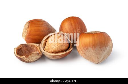 Hazelnuts on white background Stock Photo
