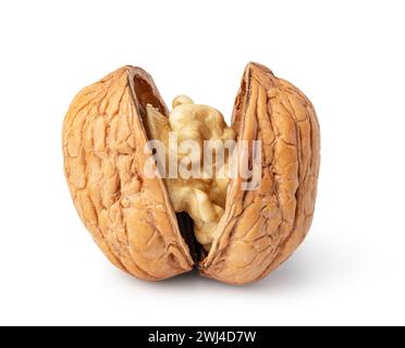Walnut on white background Stock Photo