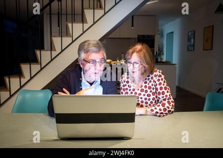 Senior couple Navigating the Internet Together Stock Photo