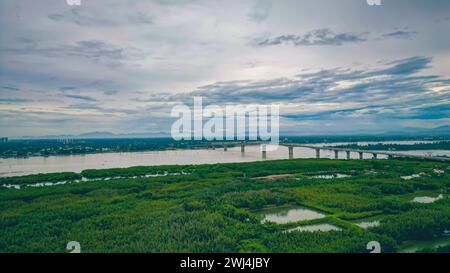 Aerial view, tourists are relax and experiencing a basket boat tour at the coconut water (mangrove palm ) forest in Cam Thanh village, Hoi An,Quang Na Stock Photo