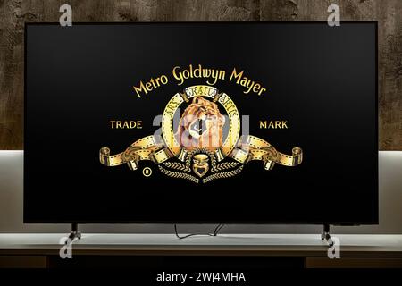 Metro Goldwyn Mayer Logo Film Metro Goldwyn Mayer Logo (1990