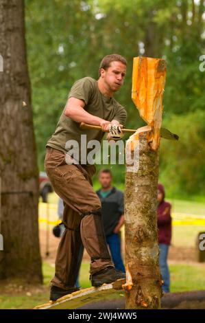 Loggers Springboard Springboard chop, Linn County Loggers' Jamboree, Linn County Pioneer ...