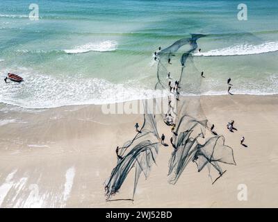 Trek fishermen, pulling fishing nets in with yellowtail catch, Fish Hoek, Cape Town, South Africa Stock Photo