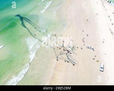 Trek fishermen, pulling fishing nets in with yellowtail catch, Fish Hoek, Cape Town, South Africa Stock Photo