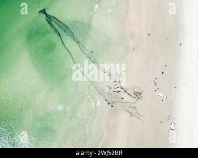 Trek fishermen, pulling fishing nets in with yellowtail catch, Fish Hoek, Cape Town, South Africa Stock Photo