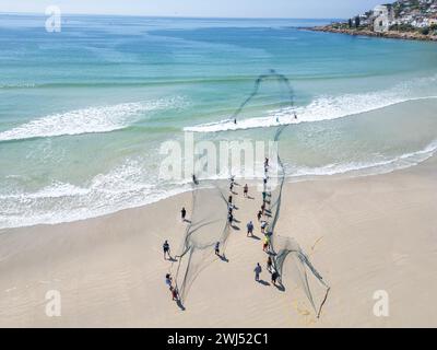 Trek fishermen, pulling fishing nets in with yellowtail catch, Fish Hoek, Cape Town, South Africa Stock Photo