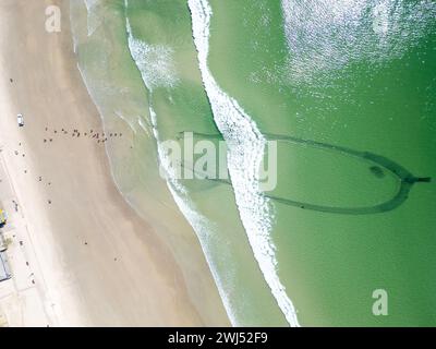 Trek fishermen, pulling fishing nets in with yellowtail catch, Fish Hoek, Cape Town, South Africa Stock Photo