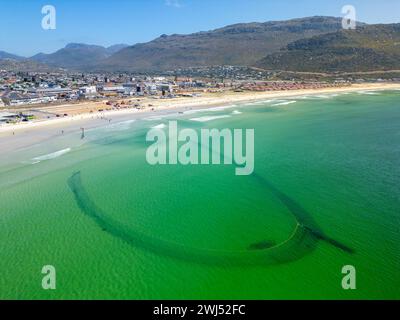 Trek fishermen, pulling fishing nets in with yellowtail catch, Fish Hoek, Cape Town, South Africa Stock Photo