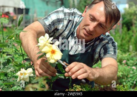 Gardener landscaping and taking care of beautiful roses Stock Photo