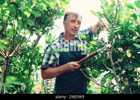 Man with garden shears cutting bushes and trees in the garden Stock Photo