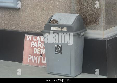 Gray bins are placed on the ground to create a clean environment without trash. Stock Photo