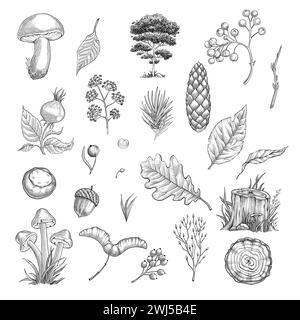 Set of hand drawn architect trees, mushrooms, leaves, plants nuts. Sketch Architectural illustration forest landscape Stock Vector