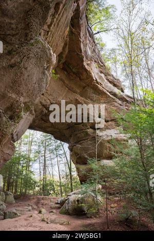 Twin Arches, Natural Rock Arch at Big South Fork National River and ...