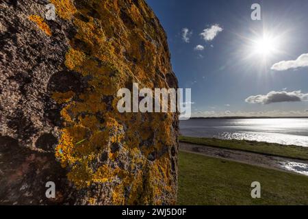 Lichens growing on the North, South, East, West stone sculpture, Lydney Harbour, Gloucestershire, UK Stock Photo