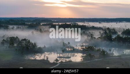 a-scenic-view-of-rannametsa-tolkuse-nature-trail-in-luitemaa-nature
