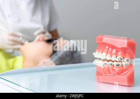 Orthodontic model and dentist tool. Teeth model of varities of ...