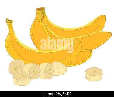 Composition of vector yellow bananas in flat style. Whole exotic fruit, bunch of bananas, sliced white pulp. White background. Cartoon style clipart f Stock Vector