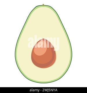 Fruit of a halved avocado isolated on a white background. Summer fruit for a healthy lifestyle, a source of vitamins and fatty acids. Organic fruit in Stock Vector