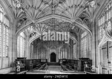 Divinity School Hall Stock Photo