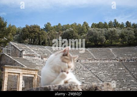 Cat sunbathing in front of Ancient Greek Theater (unfocused cat) Stock Photo