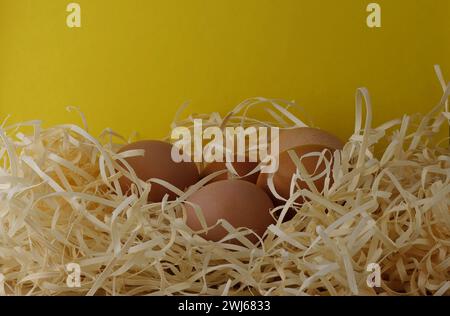 Image of brown chicken eggs resting on wood shavings on a yellow background. Stock Photo