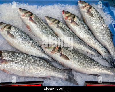 Fresh fish in supermarket, Alicante, Spain Stock Photo