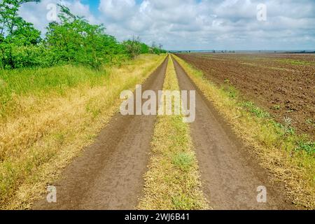 A field earth-road runs along a sown field and a forest strip (shelter belt, wind-snow break). Spring Stock Photo