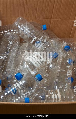 close-up of used discarded plastic water bottles, old unwanted transparent containers in a cardboard box, collected for recycle, plastic waste Stock Photo