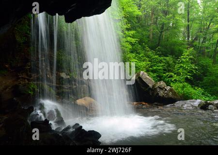 A hiking trail leads the adventurous to Grotto Falls, where people can stand behind a cascade waterfall in the Great Smokey Mountains National Park Stock Photo
