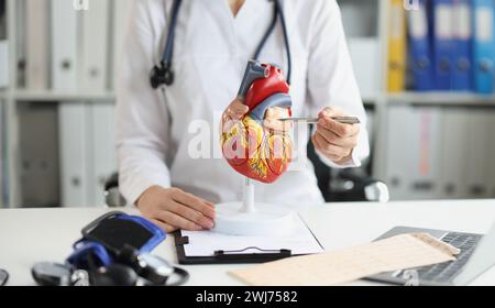 The doctor shows a plastic model of the heart, close-up Stock Photo
