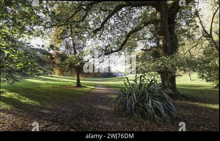 Cockington English Country Park Estate in Devon near Torquay showing trees and shrubs and the manor house with sweeping lawns Stock Photo