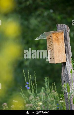 Wildbienen-Nisthilfe aus Hartholz, Massivholz, Holz. Als Regenschutz wird auf die angeschrägte Seite des Klotzes eine Plexiglasscheibe aufgeschraubt. Stock Photo