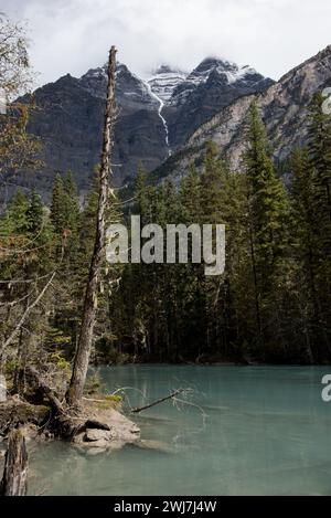 Robson River is running towered by the highest mountain of the Canadian Rocky Mountains Mount Robson hrough Mount Robson Provincial Park in Canada. Stock Photo