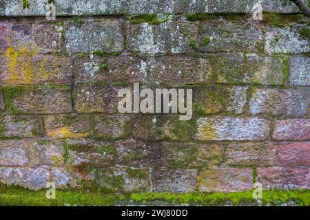 Natural stone wall with mosses and lichens, Rhineland-Palatinate, Germany Stock Photo