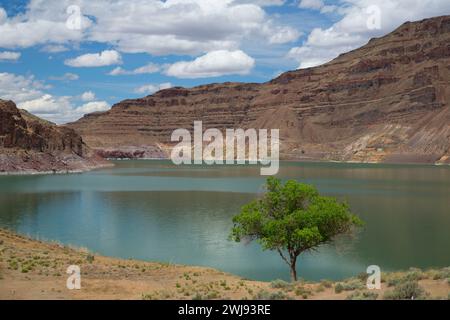 Lake Owyhee, Lake Owyhee State Park, Oregon Stock Photo